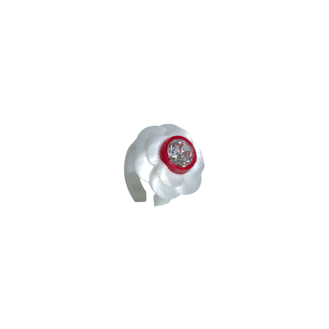 Petal_post_webp-25_4f5e8d21-d1ab-4bfc-8024-36d920b8833b.webp